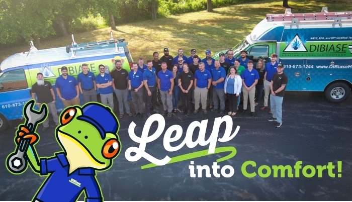 Leap Into Comfort Team Photo Leap Into Comfort Team Photo